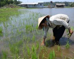 Ai đã làm gì cho sông Mekong?