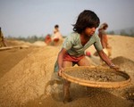 ​Mỹ tài trợ 8 triệu USD để phòng ngừa lao động trẻ em ở Việt Nam
