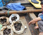 Tạm giữ tàu chở cả trăm vật liệu nổ