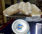 Ngỡ ngàng khối ngọc trai 100 triệu USD&nbsp;nặng 34kg ở Philippines