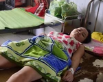 Quảng Nam: Hai người nhập viện do bị rắn lục đuôi đỏ cắn