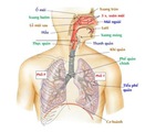 Cứu cháu bé uống nhầm nước tẩy hồ cá