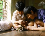 Tôi thấy hoa vàng trên cỏ xanh dự vòng loại Oscar 2017