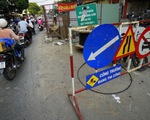 Vì sao đào đường cuối năm nay lại tăng?