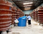 Phú Quốc, trăm năm nước mắm