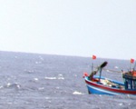 Đề nghị can thiệp vụ tàu cá Việt Nam bị Indonesia bắt giữ