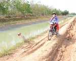 Rớt xuống kênh, gia đình ba người chết thảm