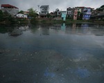 Dân Hưng Yên kêu cứu vì sông Bắc Hưng Hải ô nhiễm