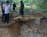 ​Phát hiện hố chôn tập thể liệt sĩ tại sân bay Biên Hòa
