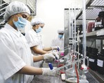 ​NutiFood - Câu chuyện một Start-up đời đầu