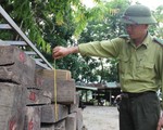 ​Cuộc chiến giữ rừng vùng giáp ranh