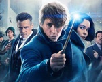 Fantastic Beasts And Where To Find Them sắp có phần 2