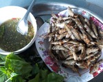 Lũ lên nhanh, An Giang gỡ lệnh cấm khai thác cá linh