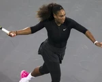 ​Điểm tin tối 24-1: Serena dự Fed Cup cùng tuyển Mỹ