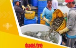 Tin tức sáng 13-9: Nhiều doanh nghiệp xuất khẩu thủy sản thiệt hại sau bão số 3