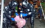 Video: Cảnh sát di dời tổ ong vò vẽ 'khủng' ra khỏi khu dân cư ở TP.HCM
