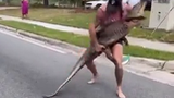 Võ sĩ MMA tay không vật lộn với cá sấu trên đường