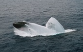 Tàu ngầm Mỹ đã đụng phải gì ở Biển Đông?