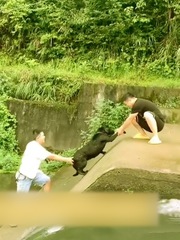 Hai thanh niên chán không buồn nói với chú chó vừa được cứu lại nhảy xuống sông