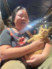 Mèo hốt hoảng mỗi khi nghe cô chủ cất tiếng hát