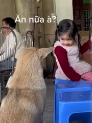 Tan chảy với bé gái chia sẻ thức ăn cho cún cưng
