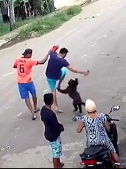 Chàng trai đi đường bị chú chó lao ra đốn ngã