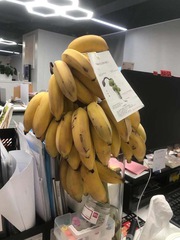 Rộ mốt 'trồng' cây ăn trái trong văn phòng
