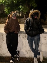 Hai chú chó được sen cho mặc thời trang siêu ngầu