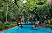 Ấn tượng trảng rừng nhiệt đới trong resort Đà Nẵng
