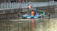 Tin nóng 24h: Bắt bớt cá trên kênh Nhiêu Lộc - Thị Nghè để cân bằng sinh thái