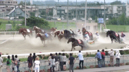 Video: Độc đáo cuộc đua ngựa chậm nhất thế giới