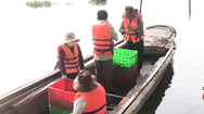 Video: Lo cá phóng sinh bị xuyệt điện, người dân ra giữa sông thả cá