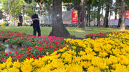 Video: Chạy nước rút chuẩn bị Hội hoa xuân công viên Tao Đàn, sẽ miễn phí vé tham quan