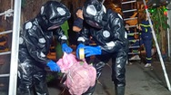Video: Cảnh sát di dời tổ ong vò vẽ 'khủng' ra khỏi khu dân cư ở TP.HCM