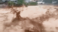 Video: Cận cảnh lũ quét cuốn trôi nhà cửa, ô tô ở Nghệ An