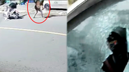 Video: Truy xét hai thanh niên đập phá ô tô tập lái đậu trên vỉa hè