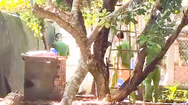Video: Bắt nghi phạm sát hại 'người tình' của vợ cũ vì ghen tuông