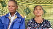 Video: Vợ chồng chủ ruộng dưa bị phá hoại tha thứ cho nhóm thanh niên bồng bột