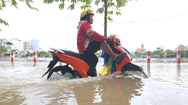 Video: Triều cường dâng cao, đường phố Cần Thơ chìm trong 'biển nước'