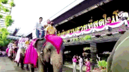 Video: Lễ Tình nhân 14-2, nhiều cặp đôi tổ chức đám cưới dưới nước và trên lưng voi ở Thái Lan