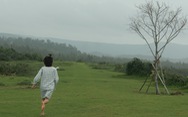 Đến Phú Yên chạy chân trần trên đồi cỏ xanh