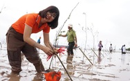Những người trẻ trồng cây phủ xanh Việt Nam