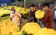 Chợ hoa không nói thách, người Sài Gòn vui vẻ mua hoa đến nửa đêm
