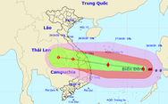 Tối 27-10, tâm bão số 9 ngoài khơi Đà Nẵng đến Phú Yên, gió giật cấp 17