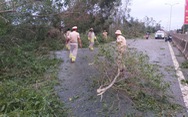 Sau bão, quốc lộ 1 qua Quảng Nam ngổn ngang cây cối