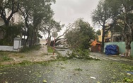 Chùm ảnh bão số 9 và hoàn lưu bão quần thảo ở Đà Nẵng