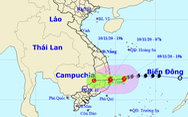 7h sáng bão đổ vào biển Bình Định - Ninh Thuận, gió giật cấp 11