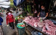 Thủ tướng yêu cầu giảm ngay giá thịt heo Thủ tướng yêu cầu giảm ngay giá thịt heo