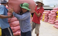 Lập đoàn kiểm tra việc xuất khẩu gạo, mời 3 bộ Tài chính, Công an, NN&PTNT tham gia