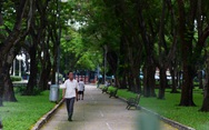 Em tôi - “người hùng” thầm lặng trong đại dịch